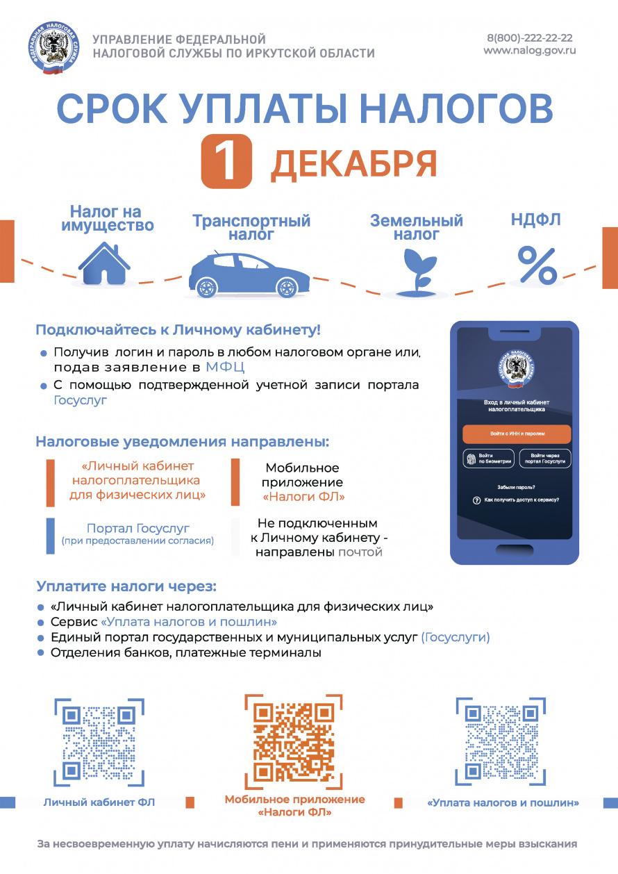 Срок уплаты налогов 1 декабря