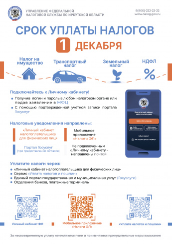 Срок уплаты налогов 1 декабря