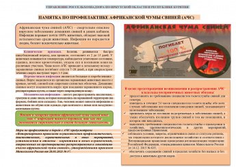 ПАМЯТКА ПО ПРОФИЛАКТИКЕ АФРИКАНСКОЙ ЧУМЫ СВИНЕЙ (АЧС)